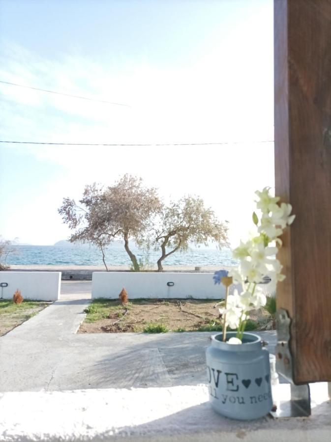 V&E'S Apartments Pigadhia  المظهر الخارجي الصورة